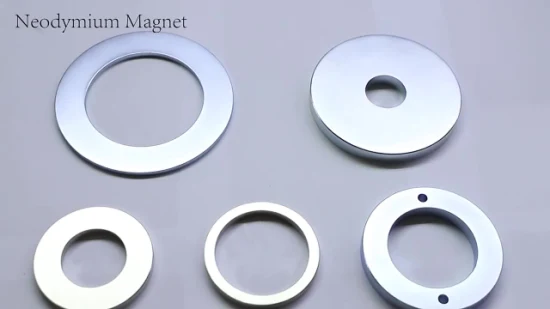 Magnete a segmenti Magnete al neodimio Magnete in ferrite Magnete personalizzato per audio per auto