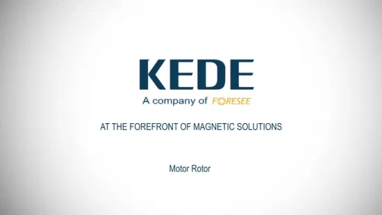 Assemblaggio magnete rotore permanente materiale magnetico personalizzabile in vendita calda